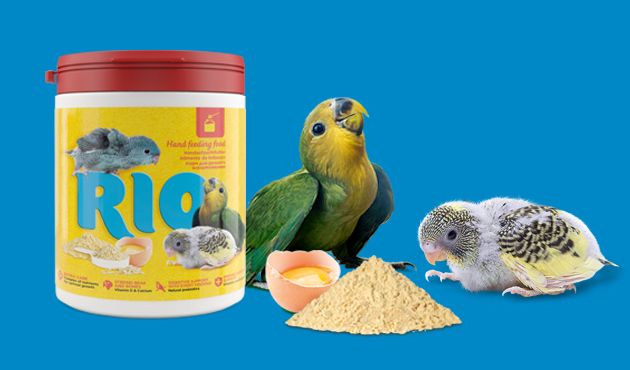New! RIO Hand feeding food