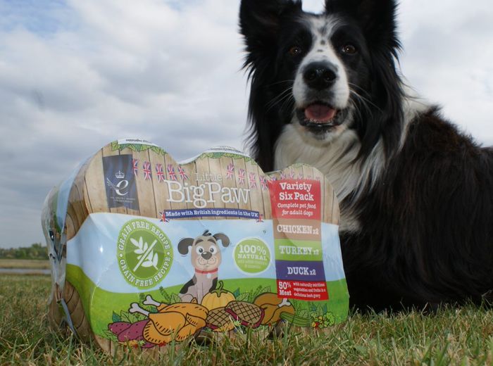 Little BigPaw purchased by Pet Buddy Group