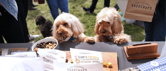 Goodchap's at Dogstival