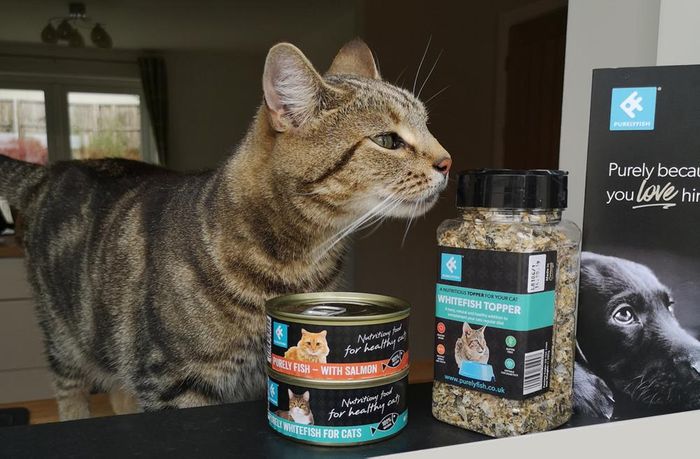Purely Fish - Turning Human Food Wastage into Pet Food Goodness