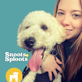 Snoots & Sploots excited to exhibit at PATS Telford