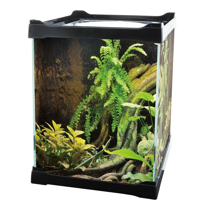 Betta Terra Mini Terrarium