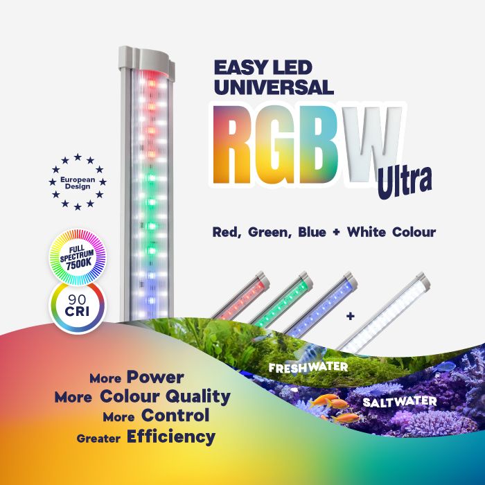 EASY LED Universal RGBW Ultra + ORI Smart Controller