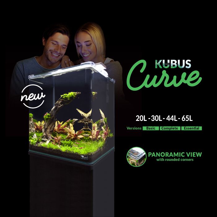 Kubus Curve Aquarium Range