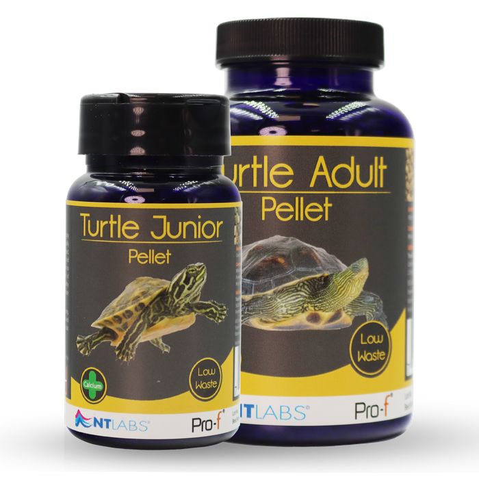 NT Labs Pro-f Turtle Food