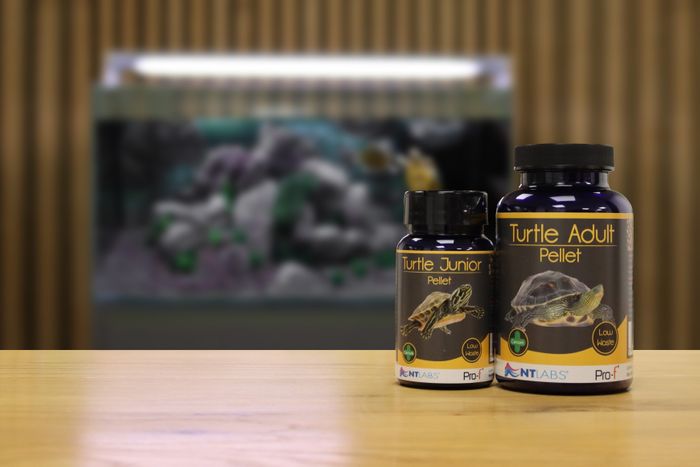 NT Labs Pro-f Turtle Food