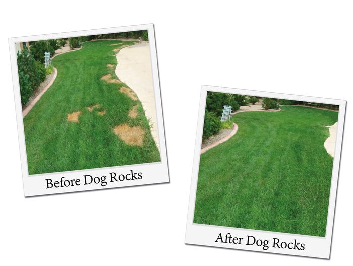 Dog Rocks Lawn Urine Patch Preventer