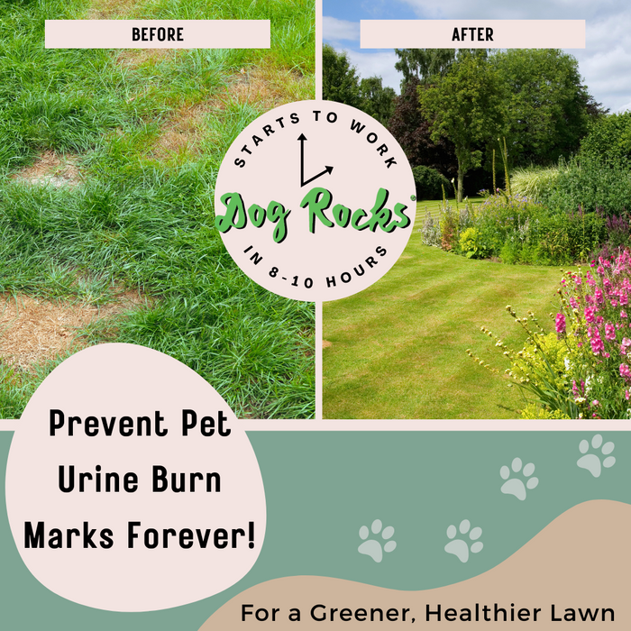 Dog Rocks Lawn Urine Patch Preventer