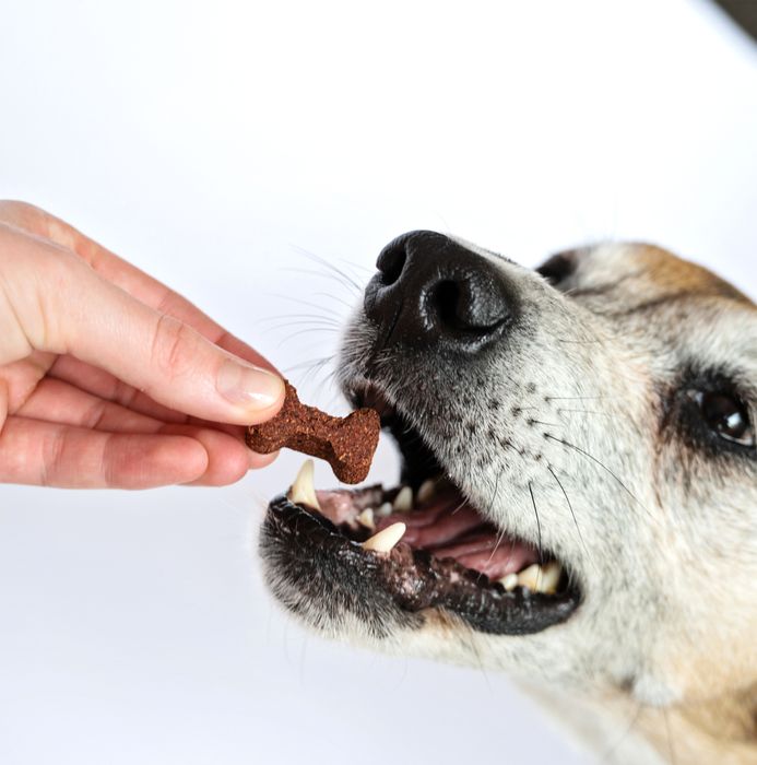 Gizzls 100% Natural Dog Treats for Seniors