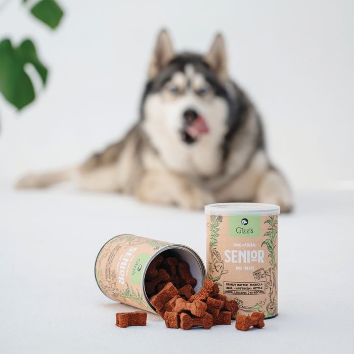 Gizzls 100% Natural Dog Treats for Seniors