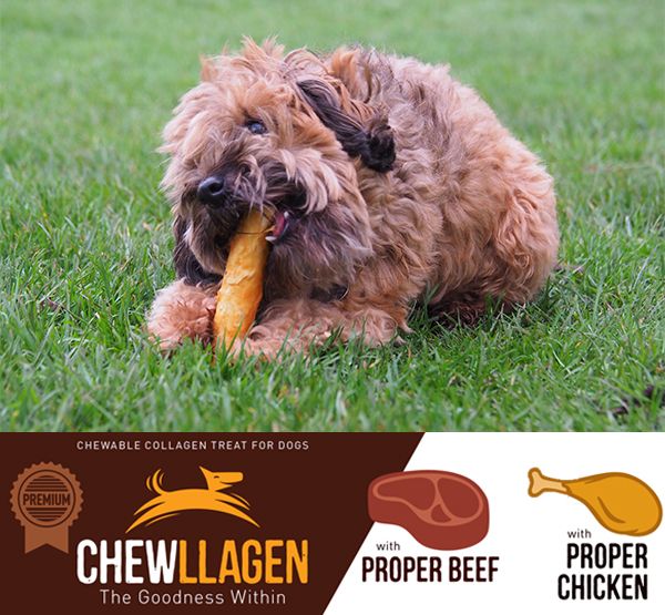 Chewllagen Premium Collagen Chews for dogs