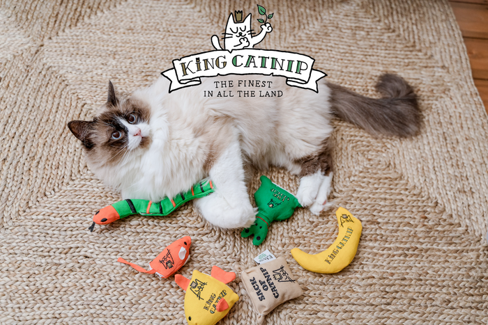 King Catnip