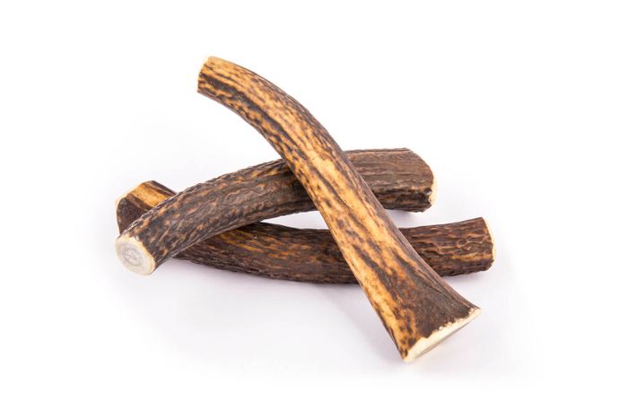 Antler Chews - from Naturally Shed Deer Antlers