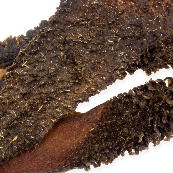 Dried Beef Treats for Dogs - Tripe, Lungs, Trachea