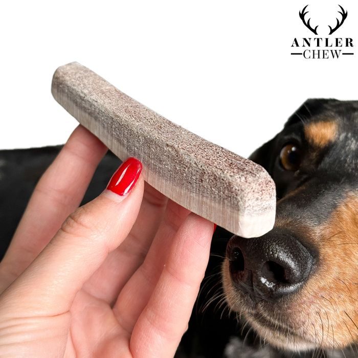 Split Deer Antler Chew - 3 different cuts ( Flat ,pizza, lollipop)