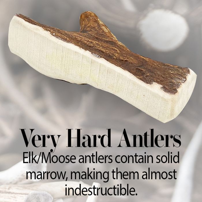 Elk Antler Chews -Super strong and durable