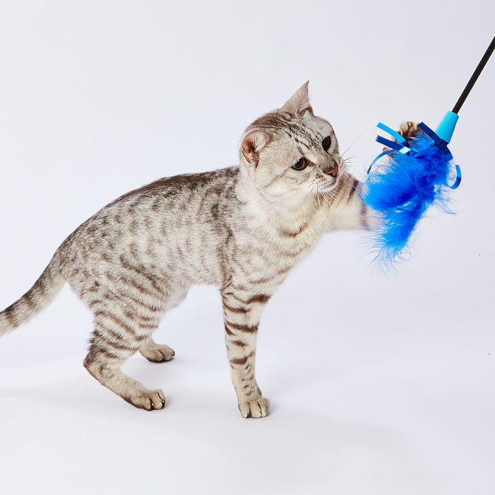 Petio Bird Feathers Cat Teaser Toy (Blue Toy Range)