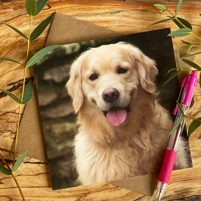 Dog Greeting cards