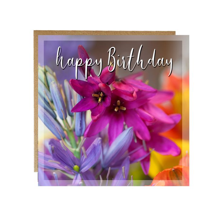 Occasion greeting cards