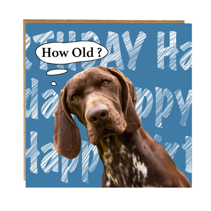 Occasion greeting cards