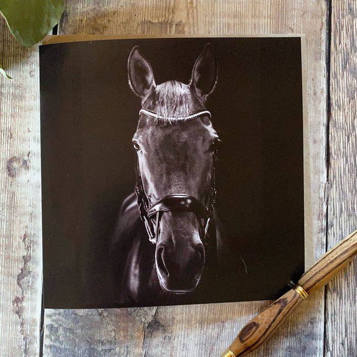 Horse greeting cards