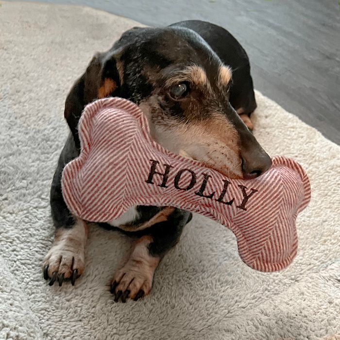 Personalised Squeaky Dog Toy