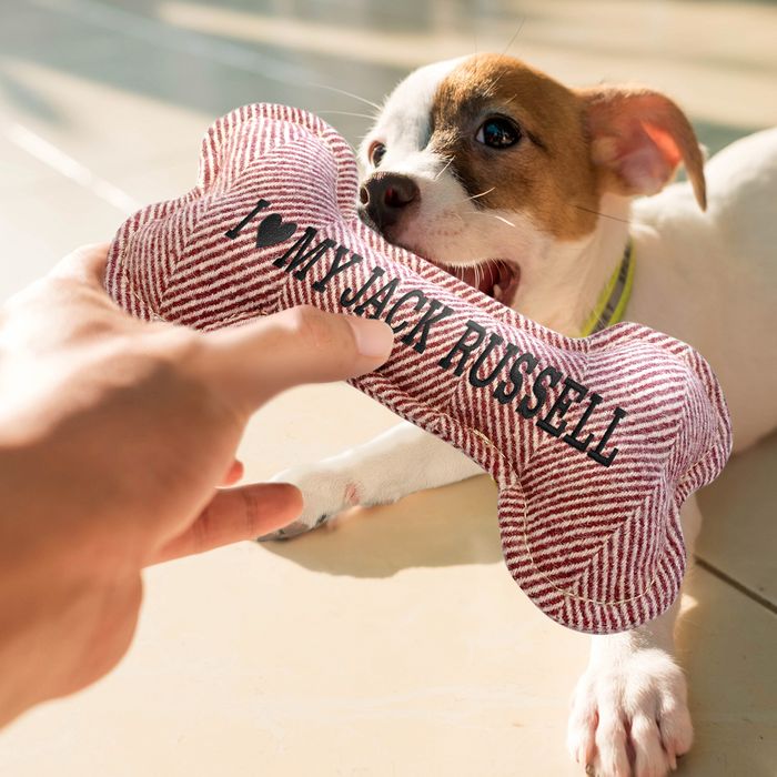 Personalised Squeaky Dog Toy