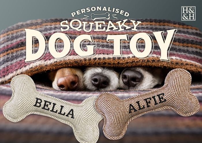 Personalised Squeaky Dog Toy