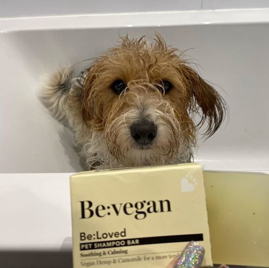 Be:Vegan Soothing Pet Shampoo Bar