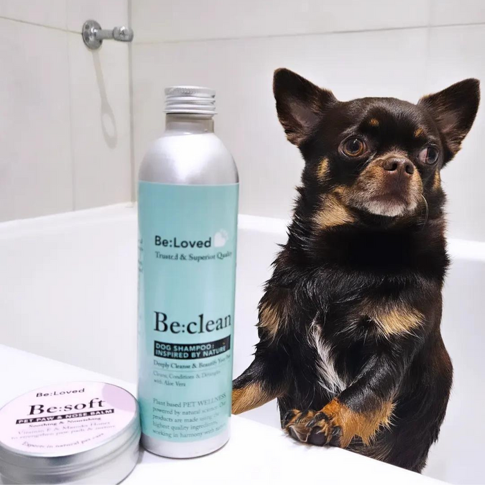 Be:Clean Pet Shampoo - Cleanse & Beautify Your Pet. 