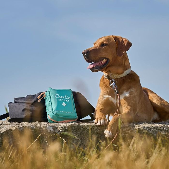 Charlie The Vet Pet First Aid Kit