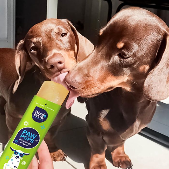 PAW POPS - COOLING ICE POPS FOR DOGS. READY TO FREEZE