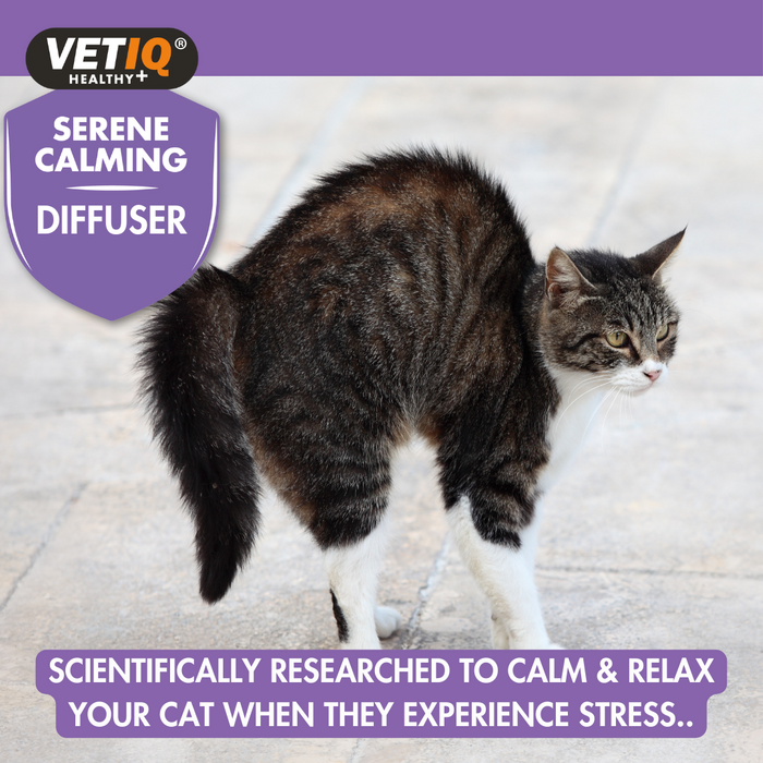 VETIQ Serene Calming Portable Diffuser For Cats and Kittens