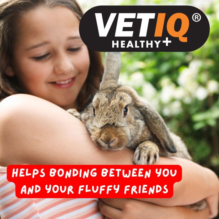 VETIQ Nibblots for small animals