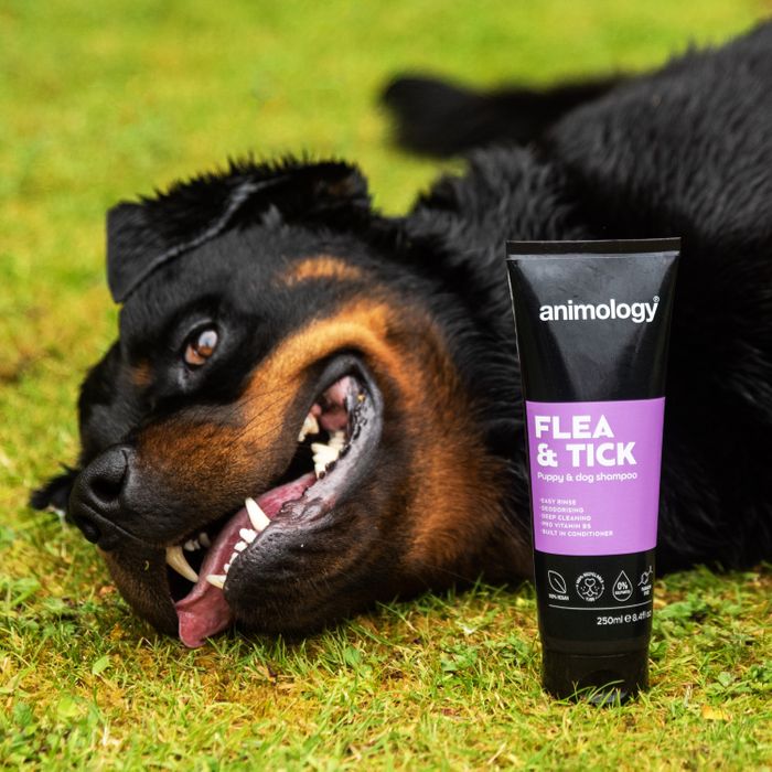Animology Flea & Tick Shampoo