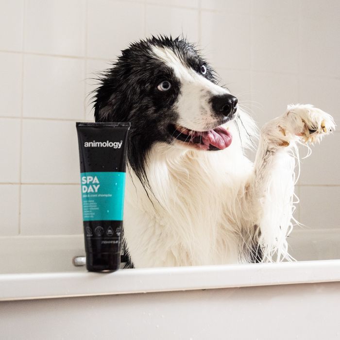 Animology Spa Day Shampoo