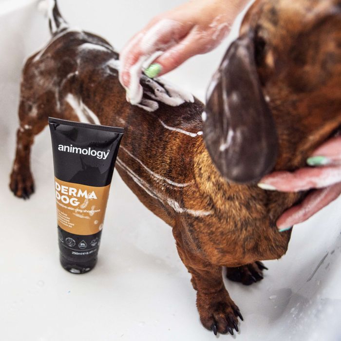 Animology Derma Dog Shampoo