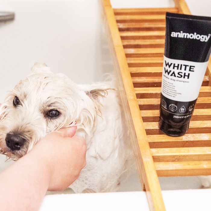 Animology White Wash Shampoo