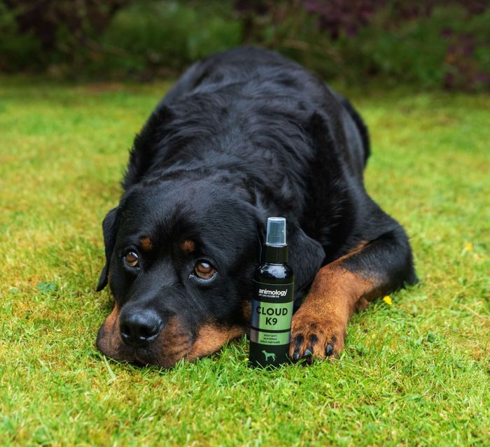 Animology Cloud K9 Fragrance Mist