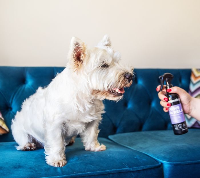Animology Paws & Relax Aromatherapy Spray