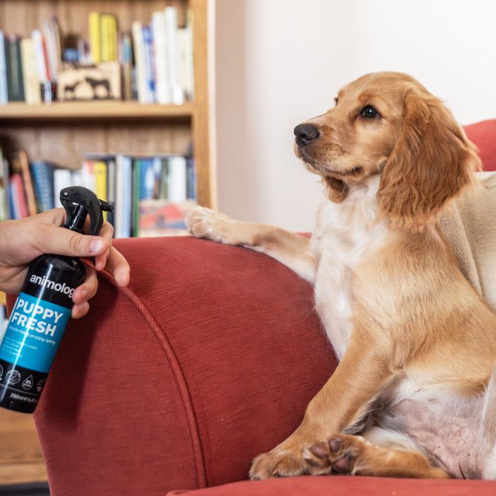 Animology Puppy Fresh Deodorising Spray