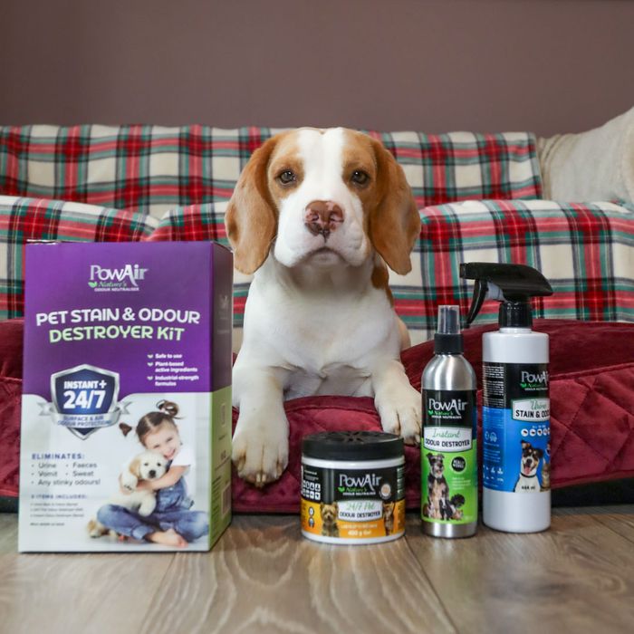 PowAir Pet Stain & Odour Destroyer Kit