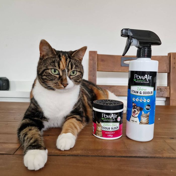 PowAir Litter Box Odour Destroyer Block