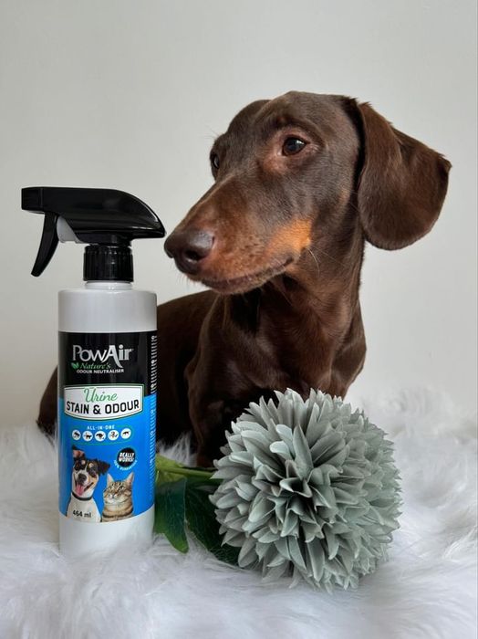 PowAir Pet Urine Stain & Odour Eliminator