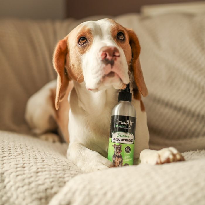 PowAir Instant Pet Odour Destroyer Spray