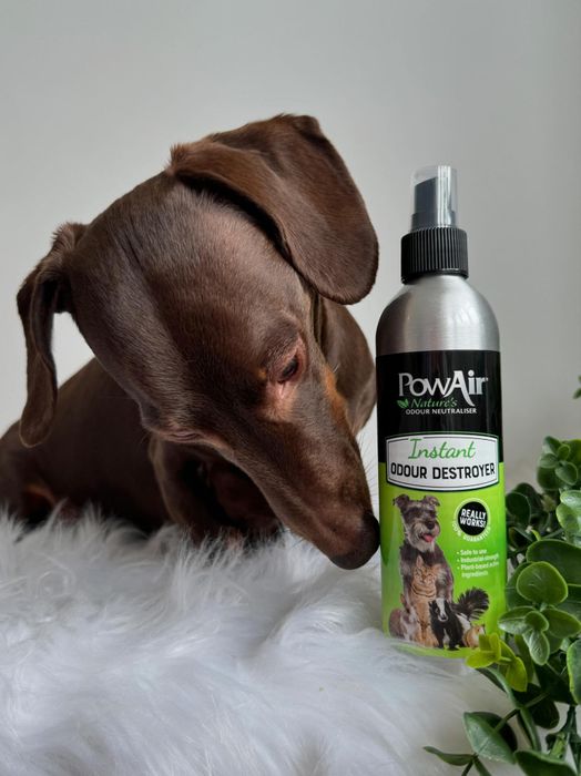PowAir Instant Pet Odour Destroyer Spray
