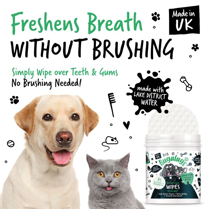 Dental Care Range (No Brushing Required)