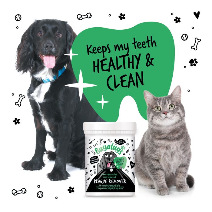 Dental Care Range (No Brushing Required)