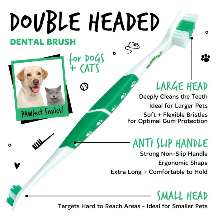 Toothbrushes and Toothpaste