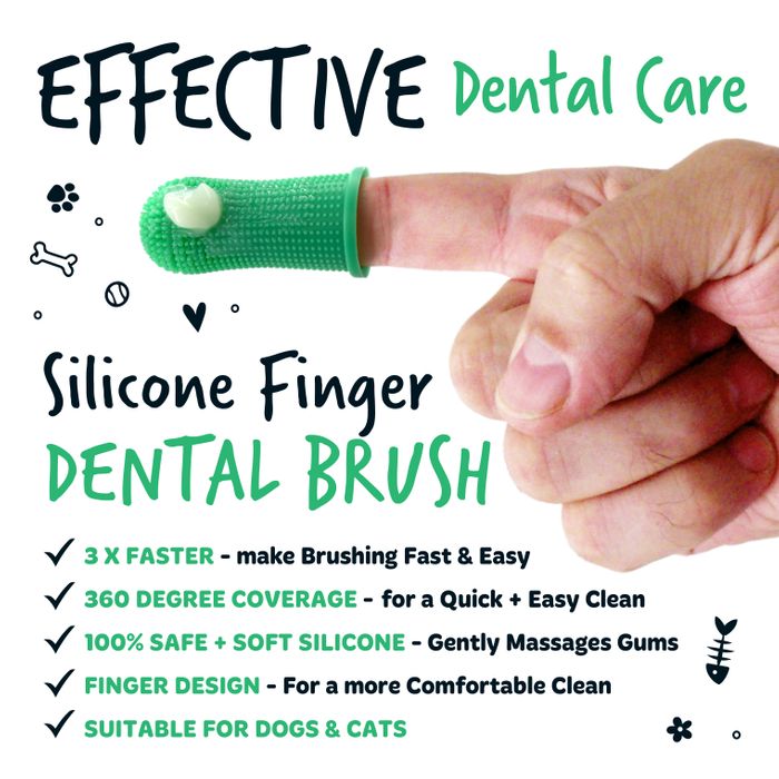 Toothbrushes and Toothpaste
